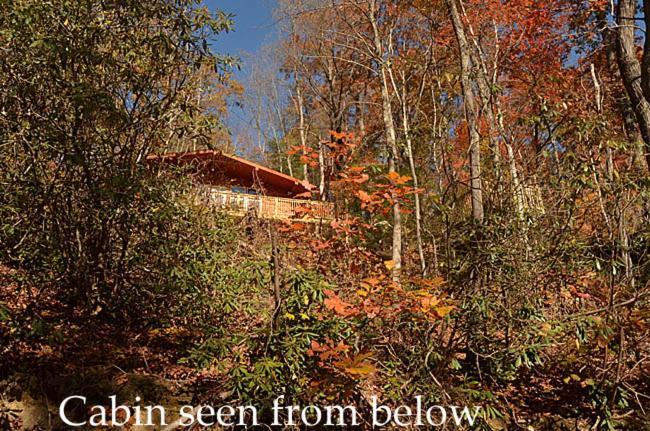 #820 Honeymoon Hideaway Villa Gatlinburg Ngoại thất bức ảnh